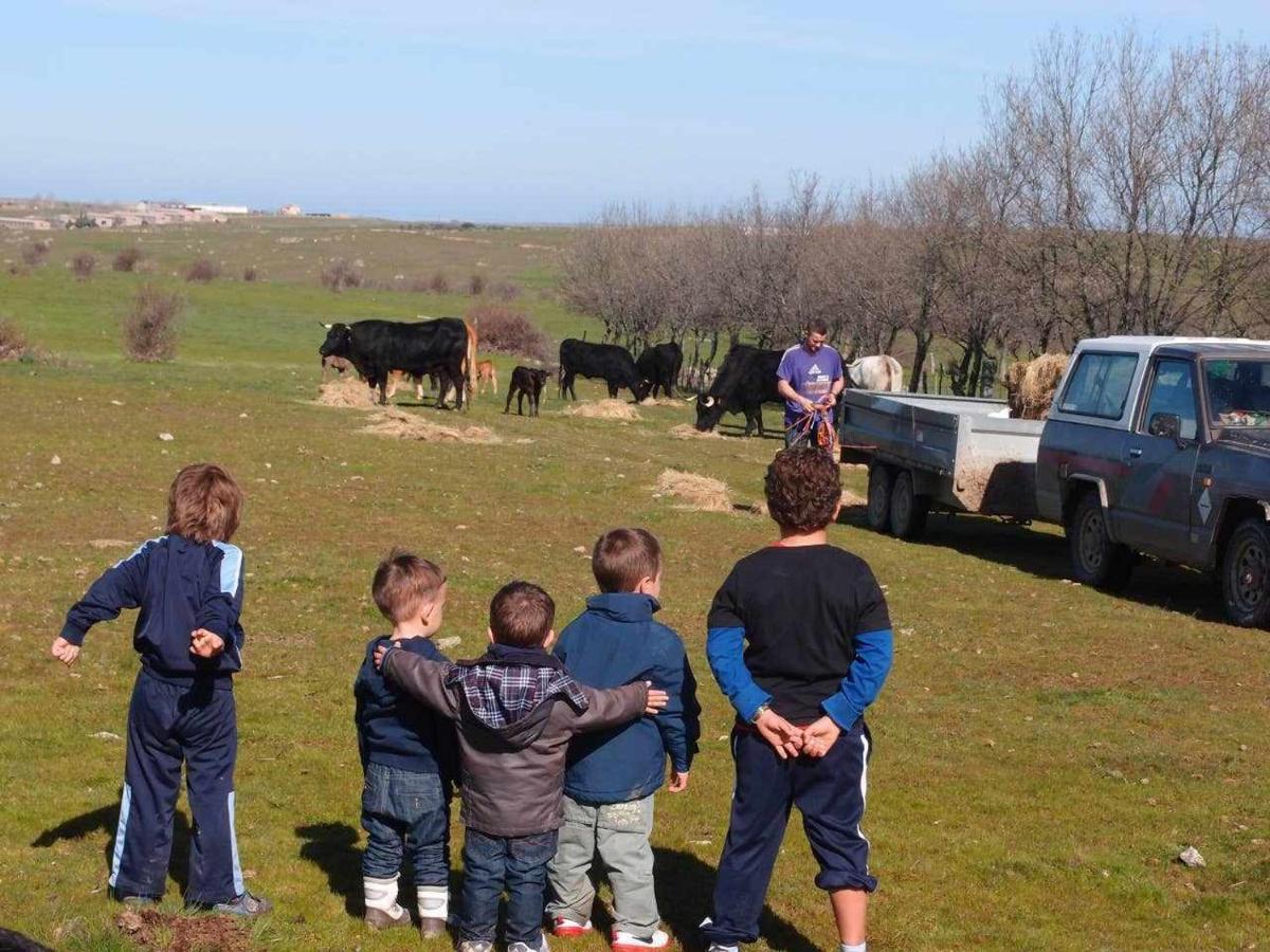 Agroturismo El Mirador De La Cigueena Cabanillas del Monte Eksteriør bilde