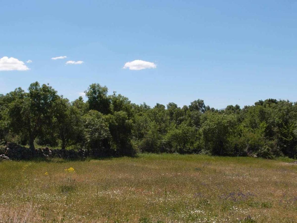 Agroturismo El Mirador De La Cigueena Cabanillas del Monte Eksteriør bilde